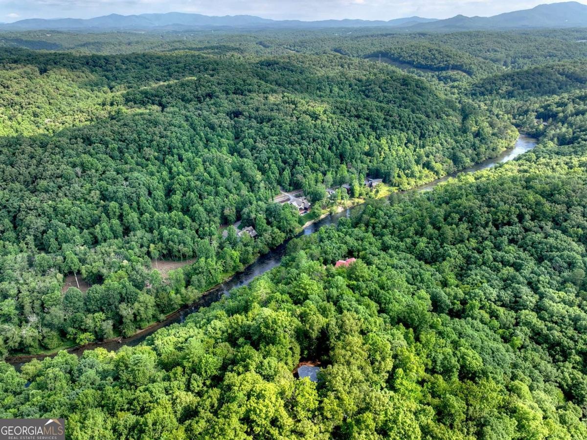 685 Cross Creek Mineral Bluff - Photo 41