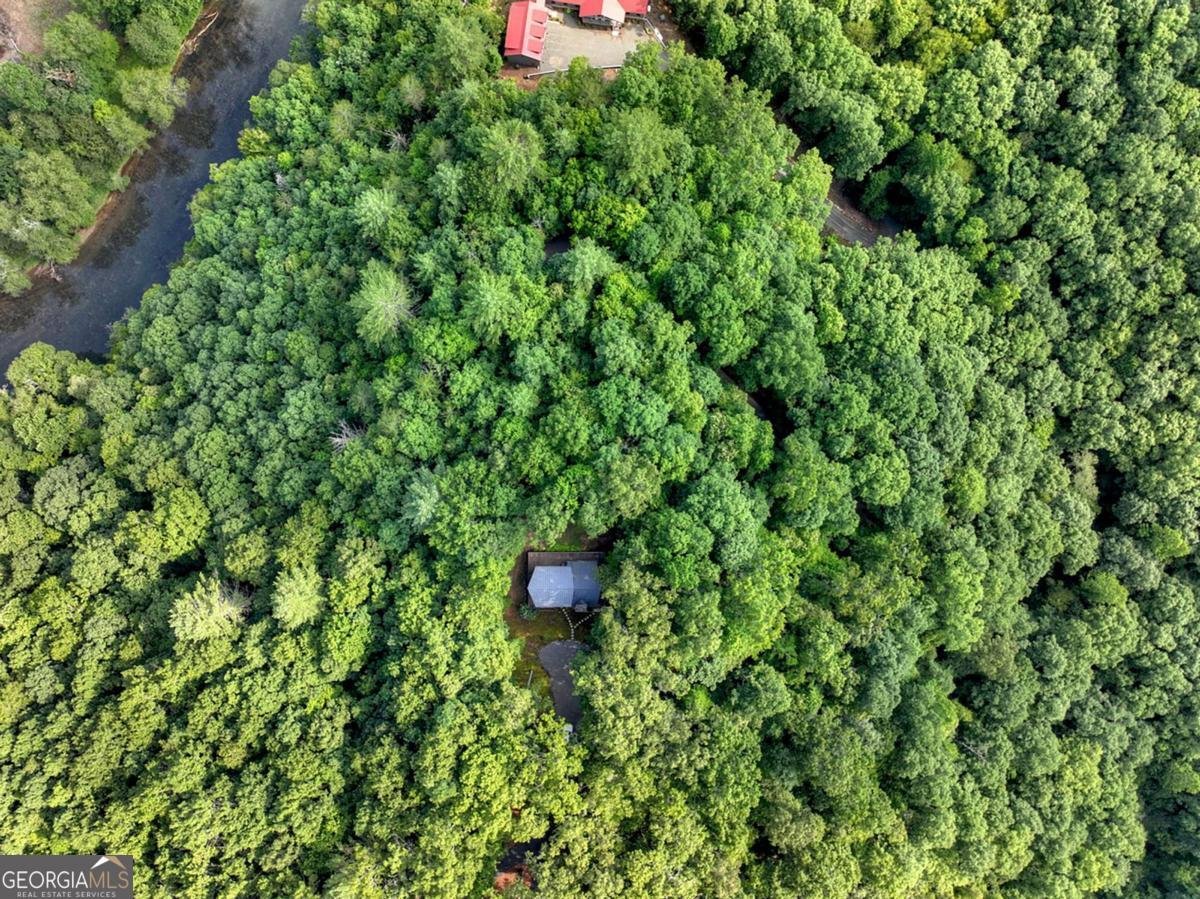 685 Cross Creek Mineral Bluff - Photo 42