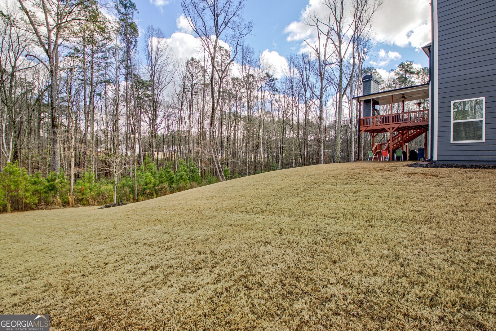 169 Emery Nell Lane Newnan - Photo 69