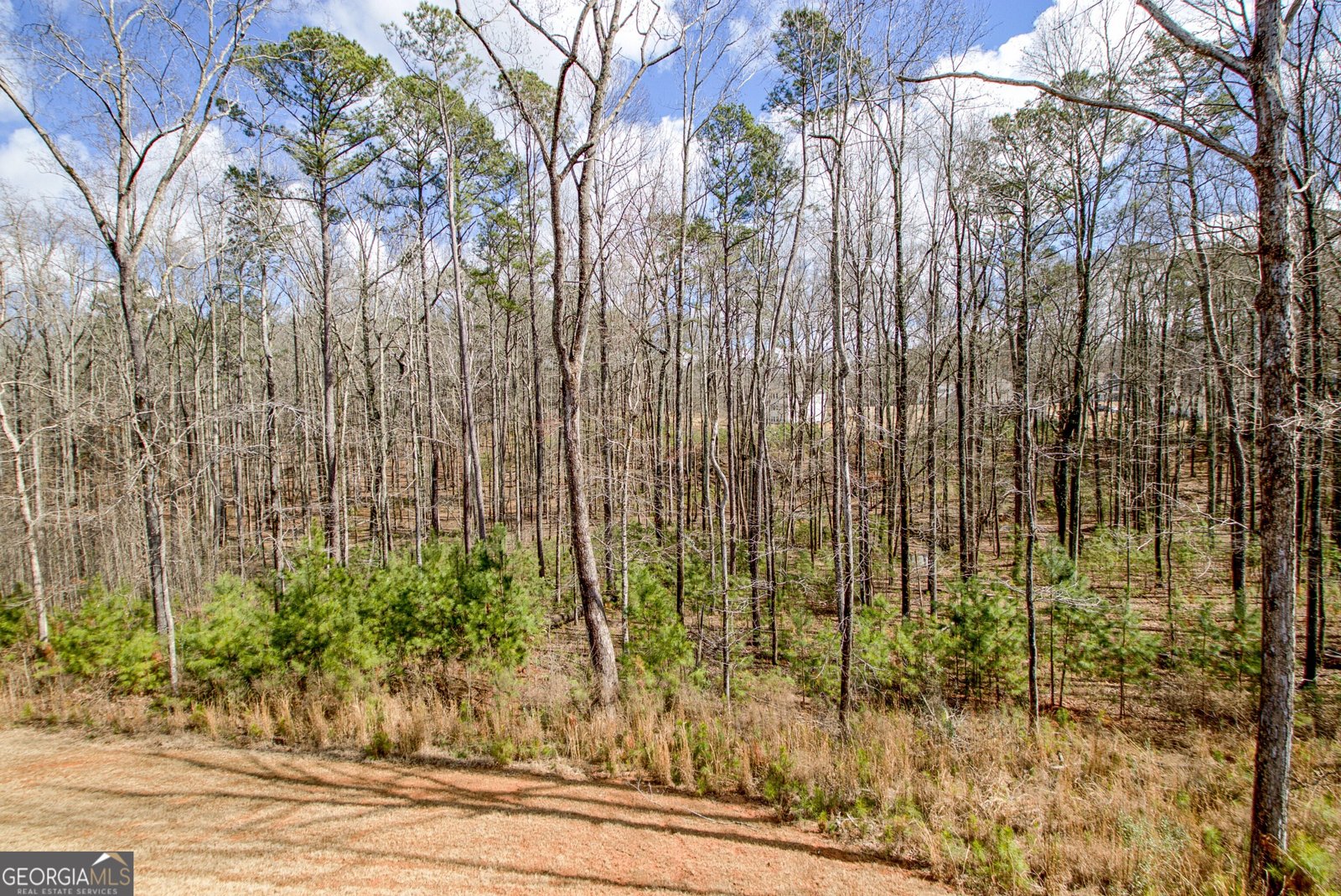 169 Emery Nell Lane Newnan - Photo 71
