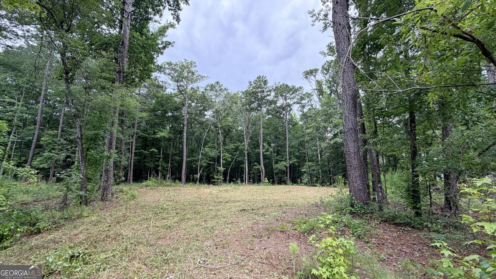 180 Coffey Road Barnesville - main photo