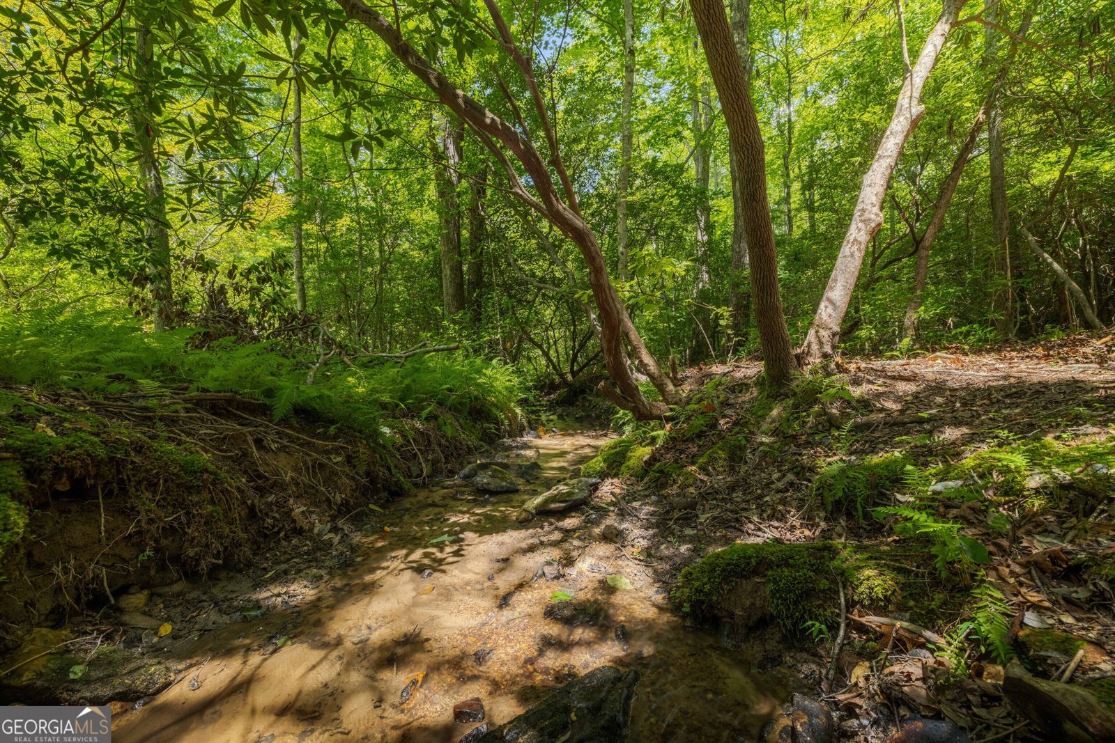 195 Moonshine Way Blue Ridge - Photo 42
