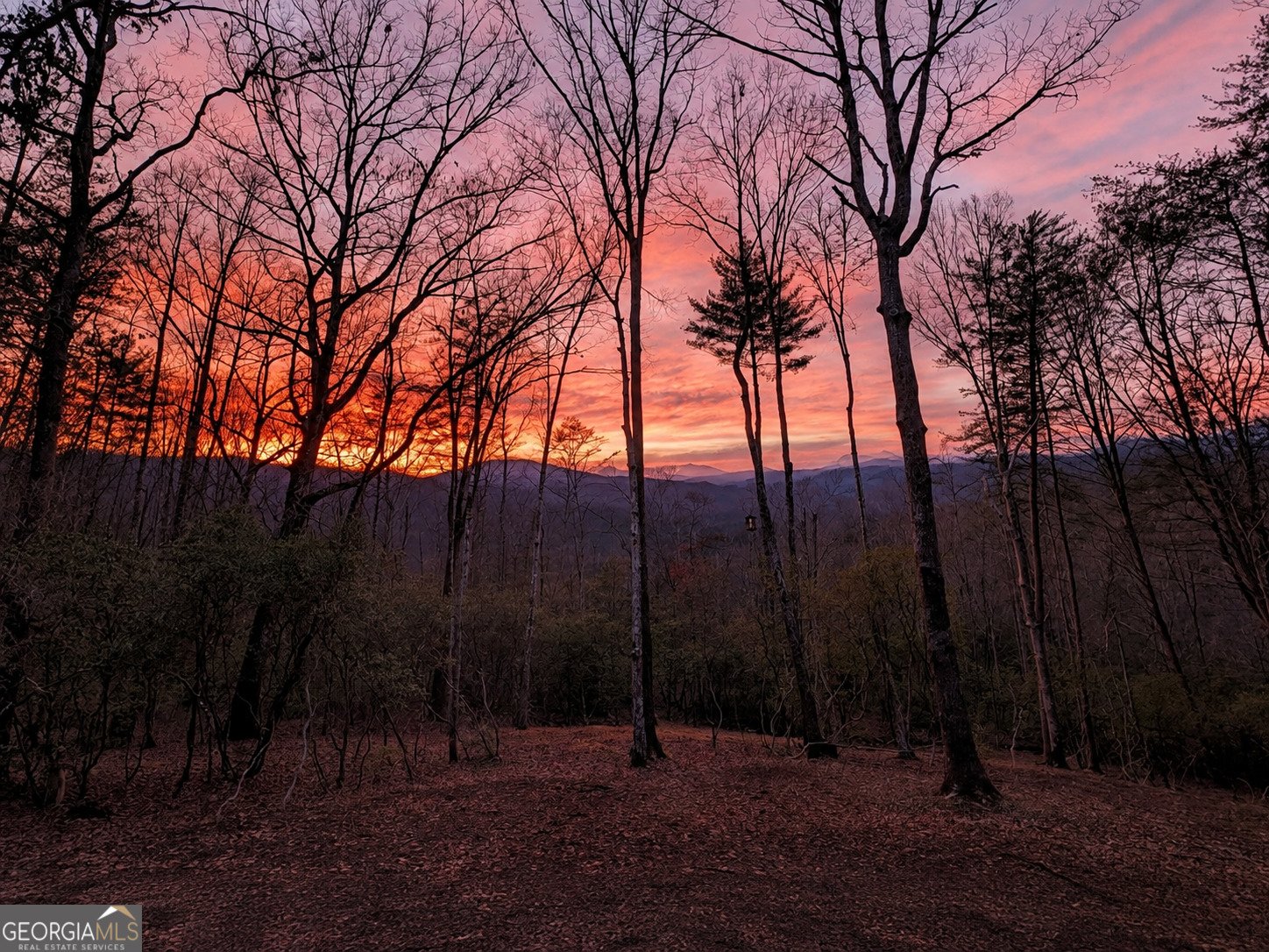 195 Moonshine Way Blue Ridge - Photo 53