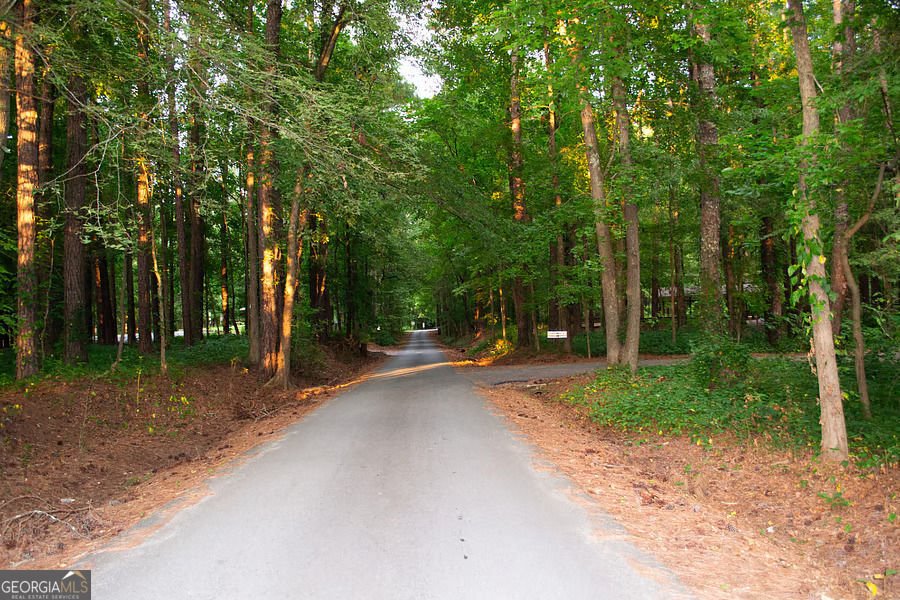5229 Proctor Landing Acworth - Photo 40