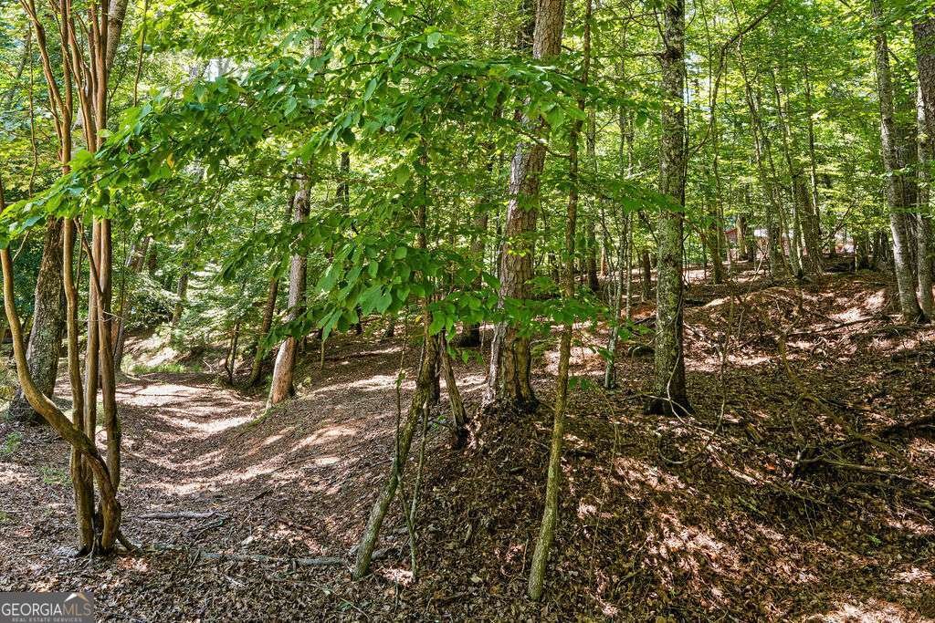 1247 Newport Drive Ellijay - Photo 28