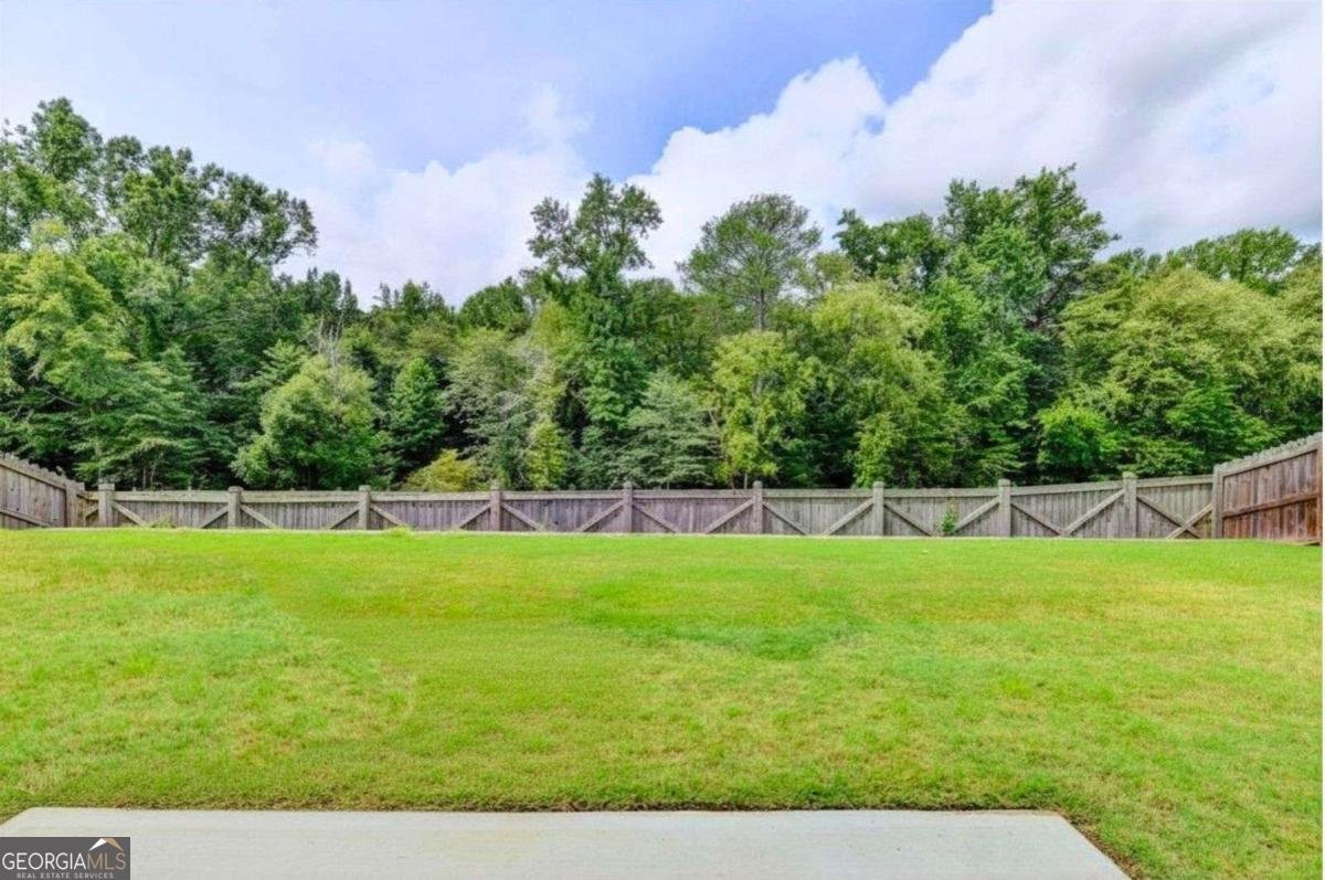 955 Laura Jean Court Buford - Photo 61
