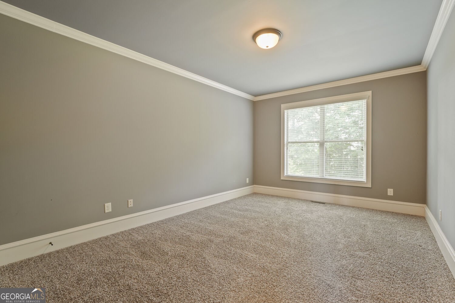 3066 Walking Horse Trail Buford - Photo 18