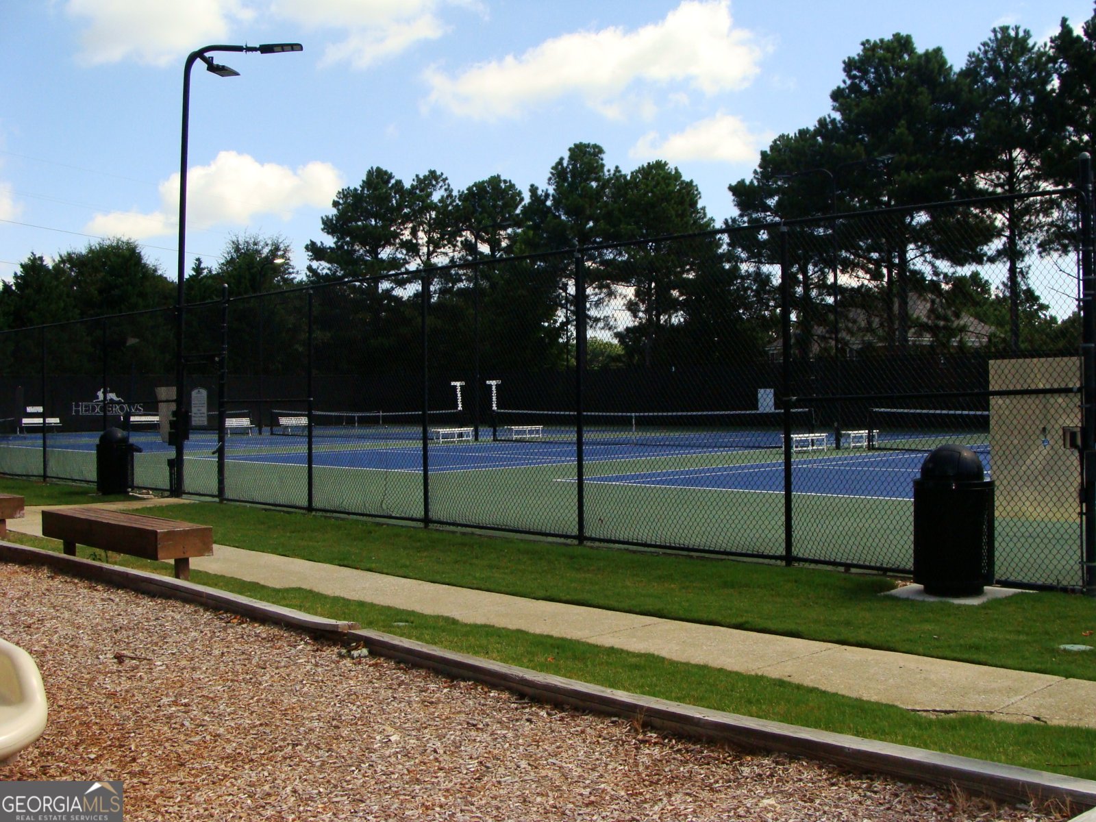 3066 Walking Horse Trail Buford - Photo 47