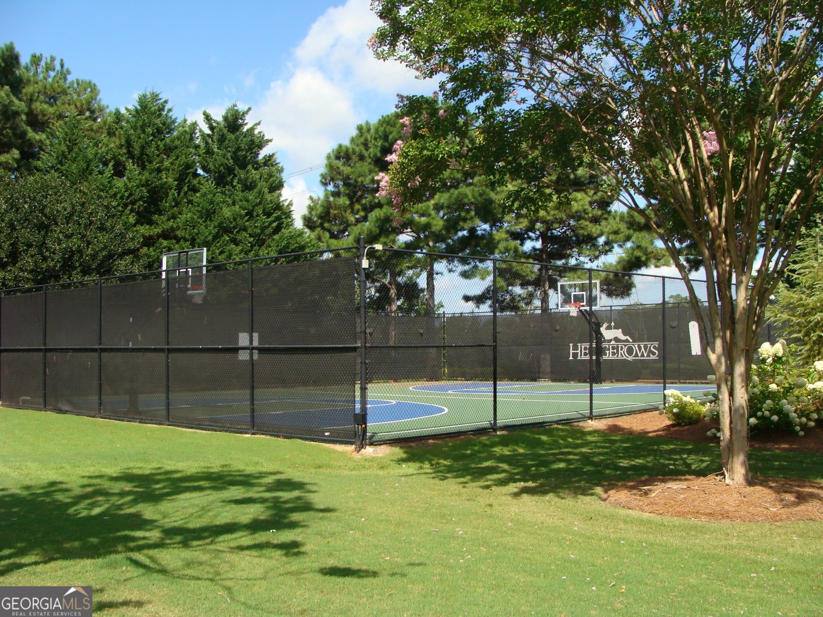 3066 Walking Horse Trail Buford - Photo 49