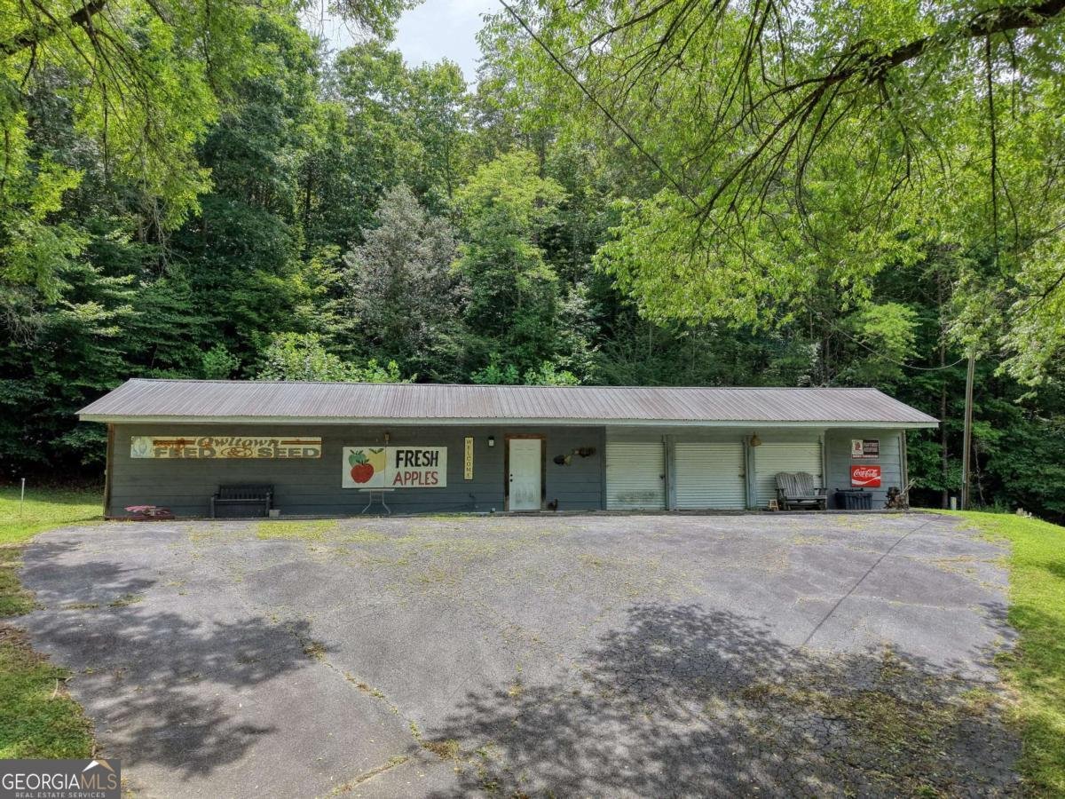 119 Satterfield Place Blairsville - Photo 11