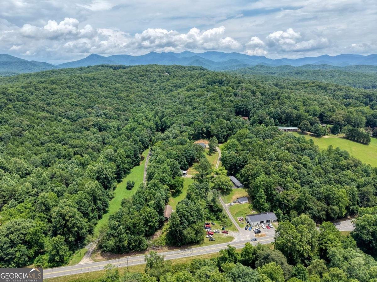 119 Satterfield Place Blairsville - Photo 41