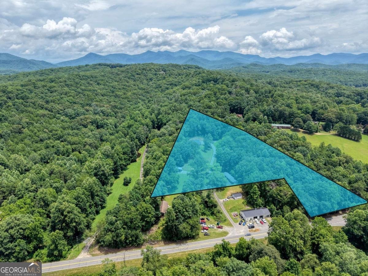 119 Satterfield Place Blairsville - Photo 43