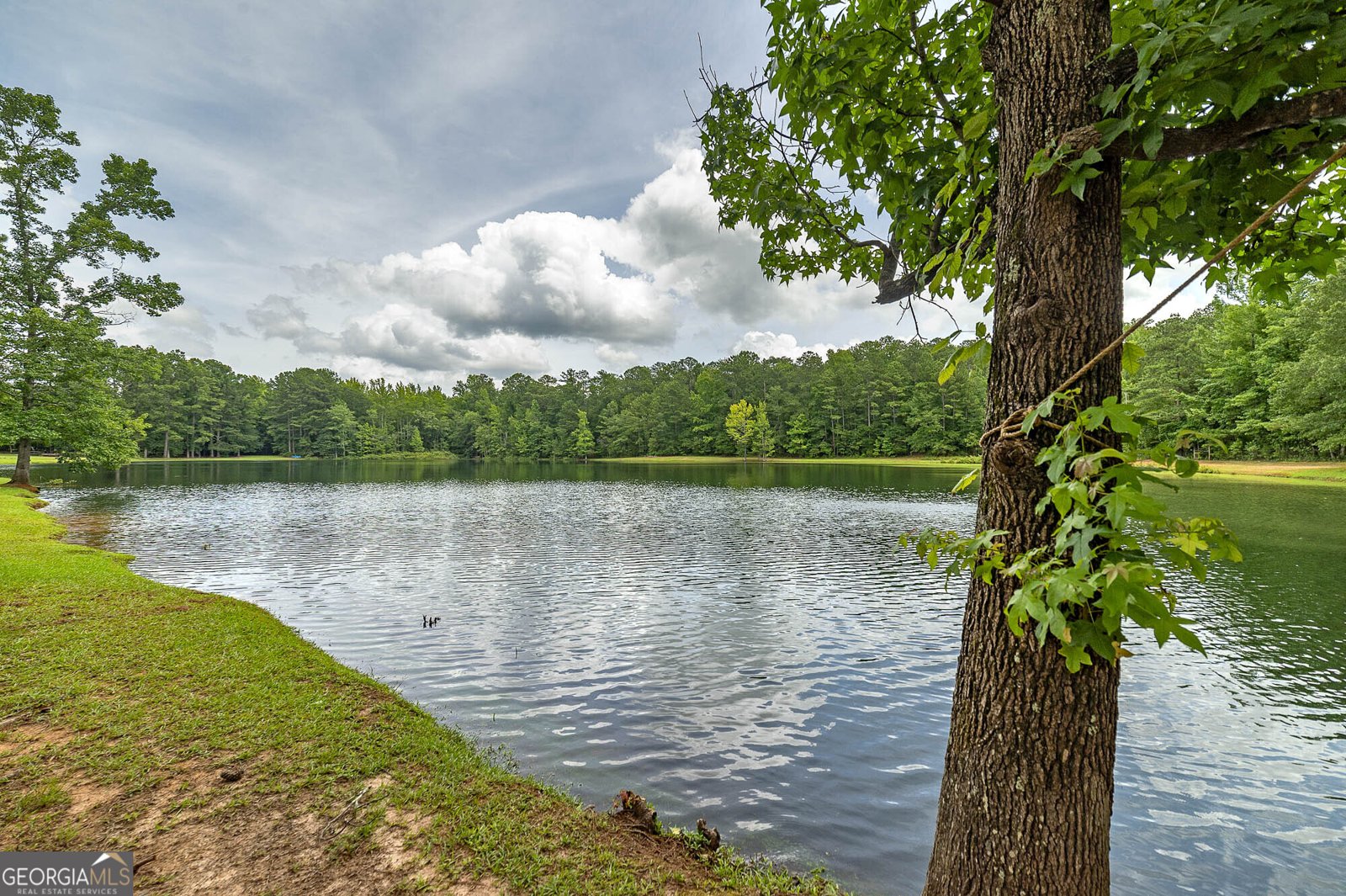 926 Perkins Road Milner - Photo 6