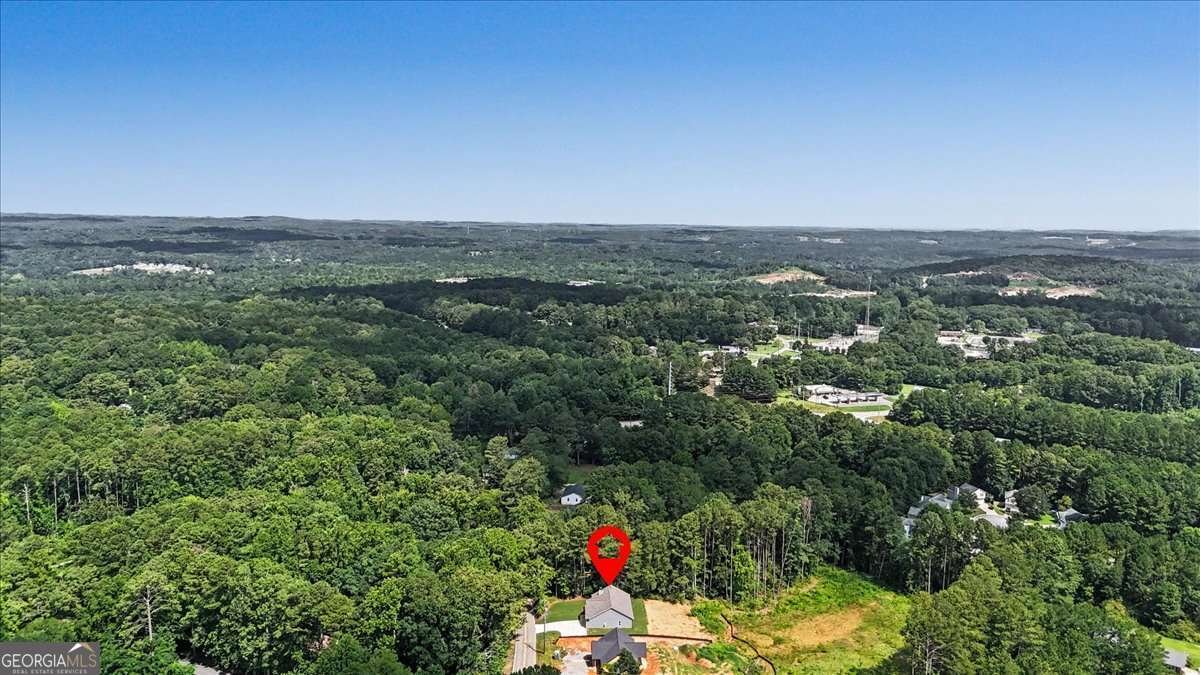 193 Cole Lake Rd Dallas - Photo 43