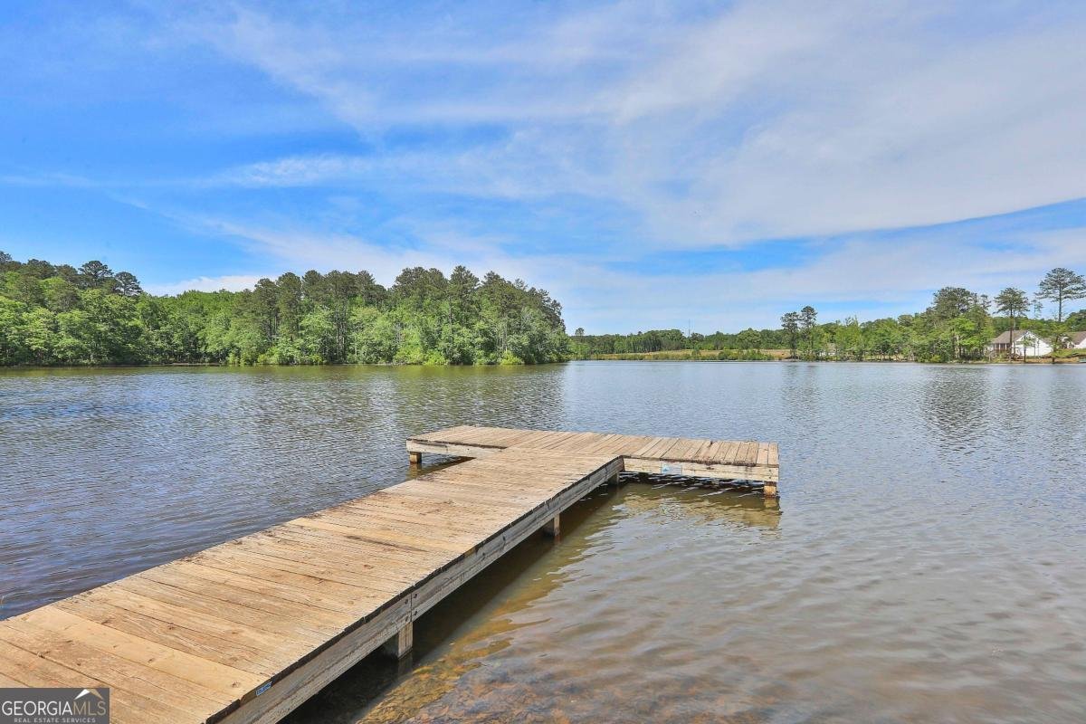 203 Lagoon Street Lagrange - Photo 47