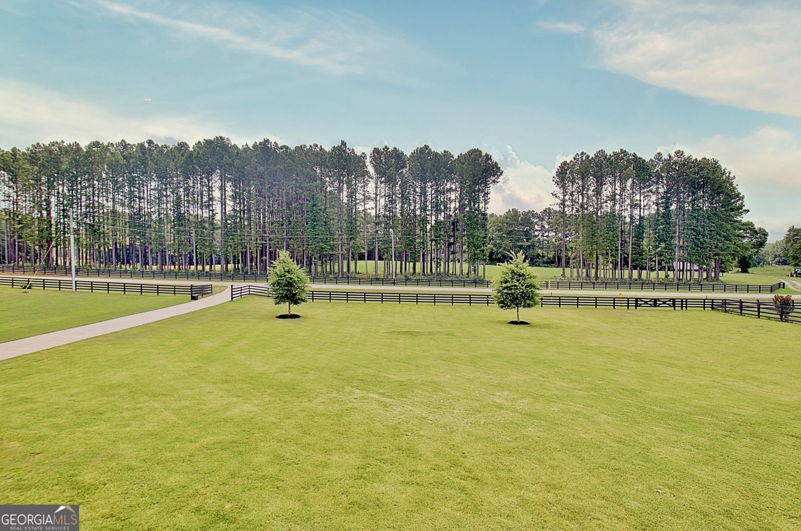 619 Elders Mill Road Senoia - Photo 89