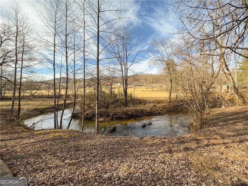 357 Mystic Lane Blue Ridge - Photo 35
