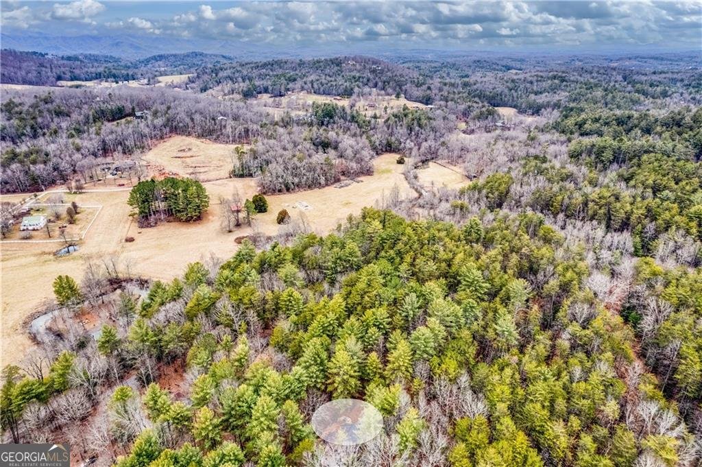 357 Mystic Lane Blue Ridge - Photo 56