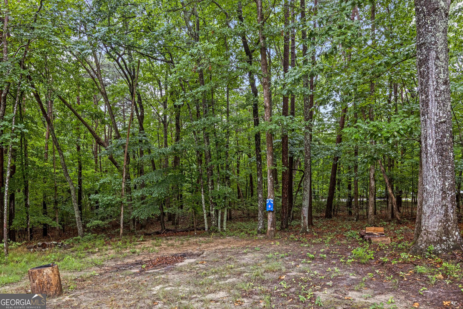 65 Eagle Bluff Road Menlo - Photo 68
