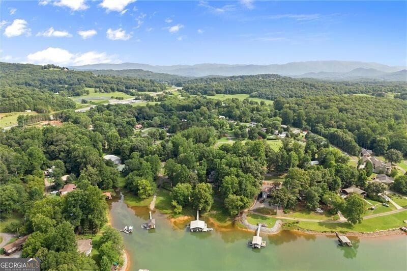 3755 Woods Creek Drive Young Harris - Photo 104