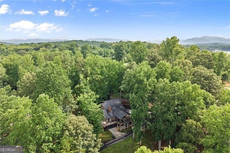 3755 Woods Creek Drive Young Harris - Photo 106