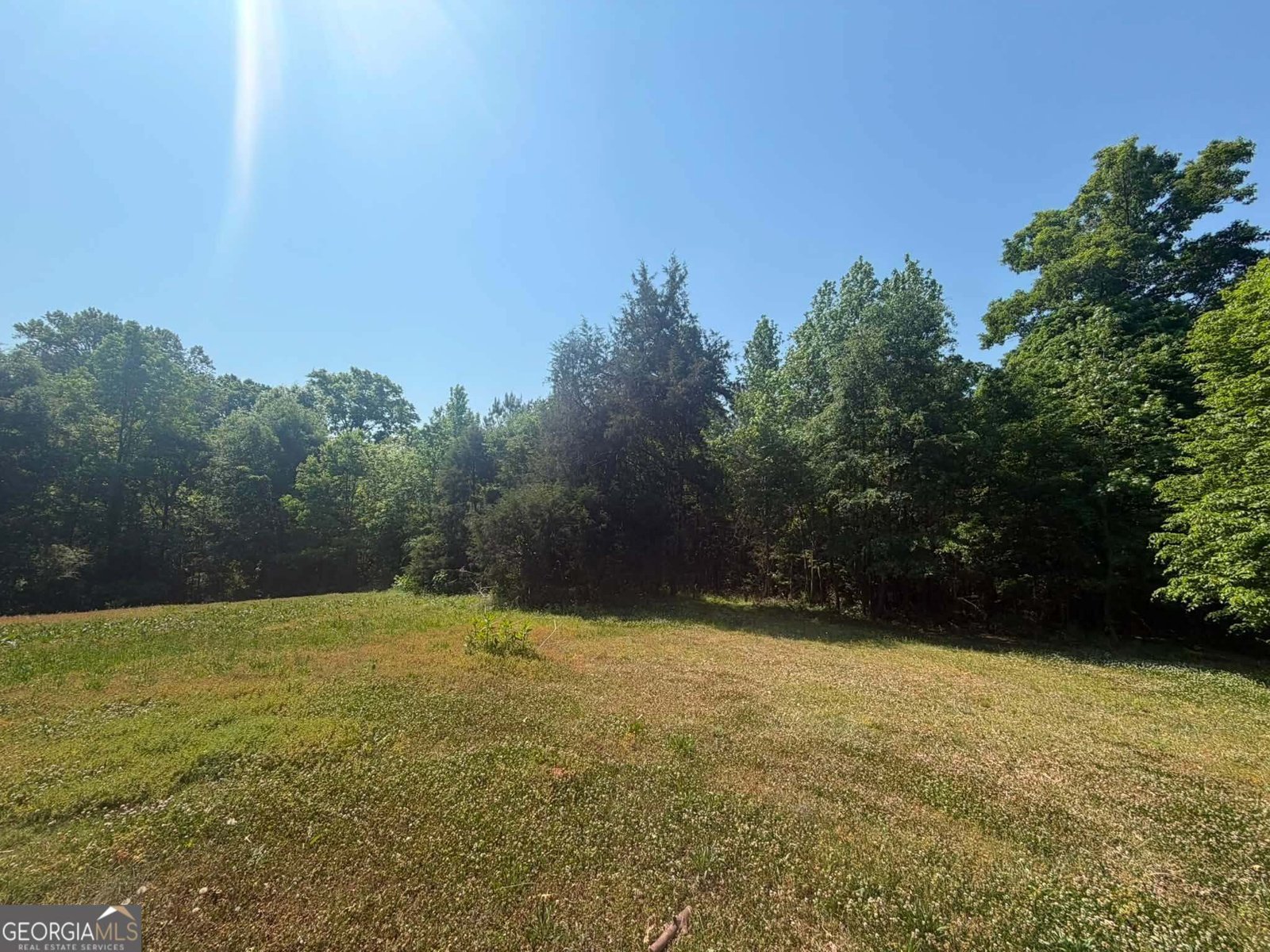 81 Anderson Lane Forsyth - Photo 6