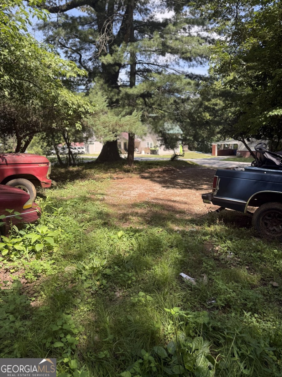 326 Monroe Street Tallapoosa - Photo 10