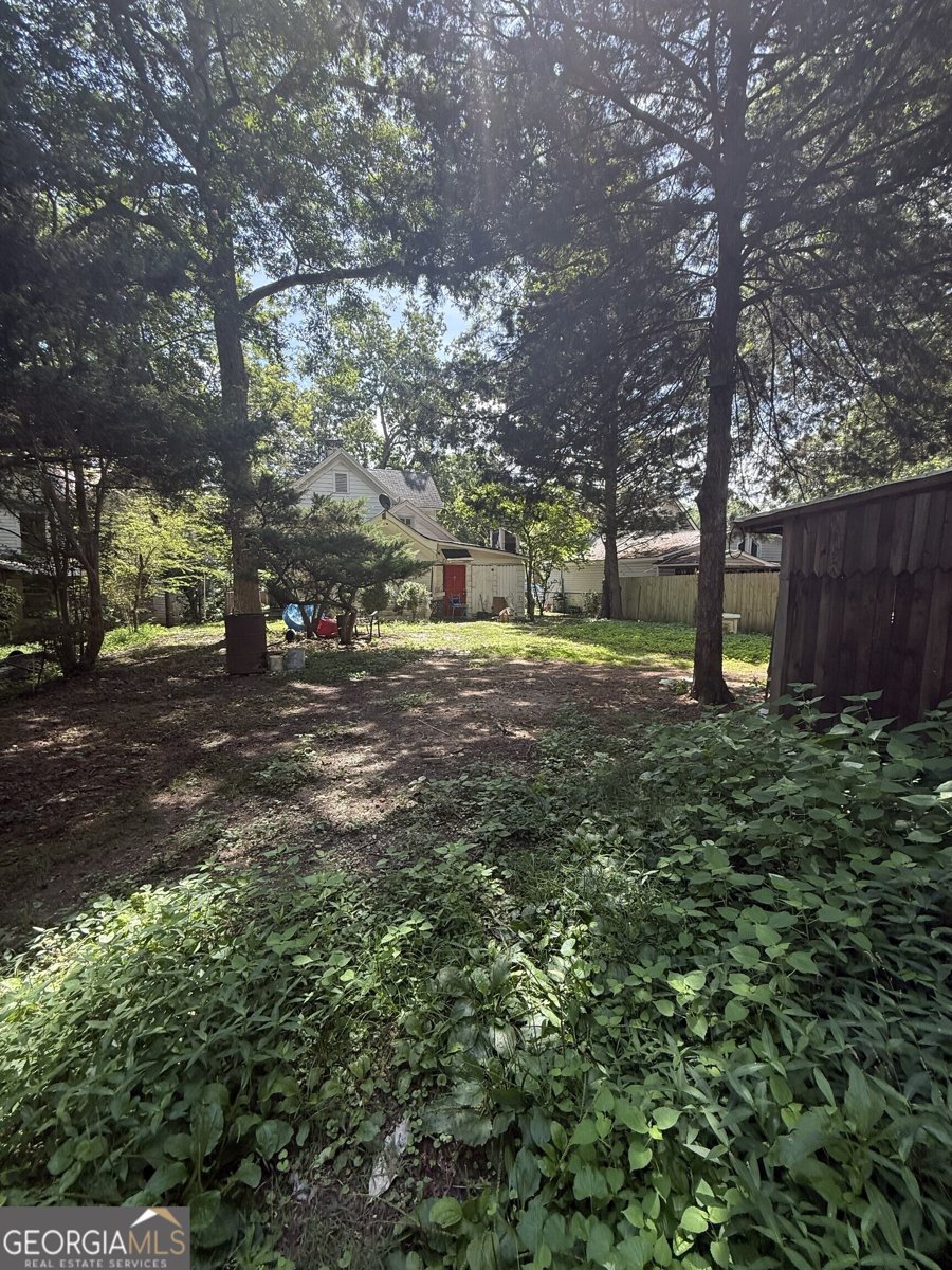326 Monroe Street Tallapoosa - Photo 9