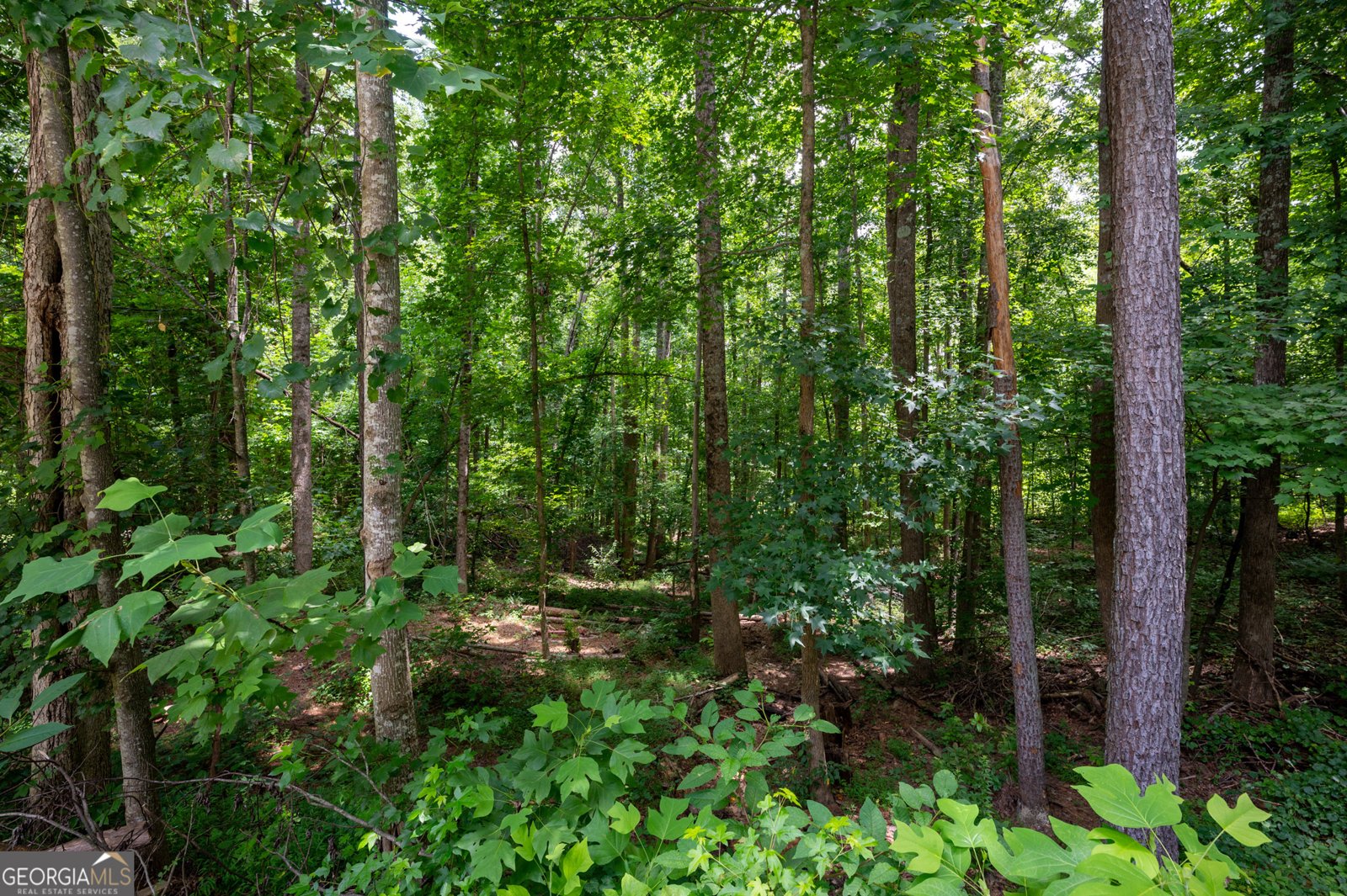 531 Philadelphia Drive Jasper - Photo 47