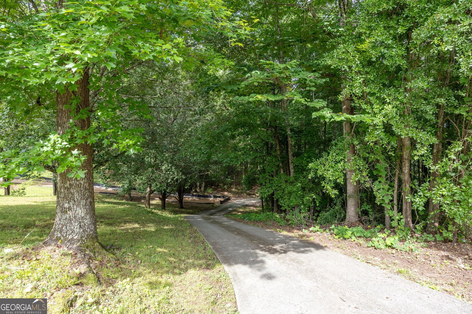 203 Wheeler Lake Path Dallas - Photo 40