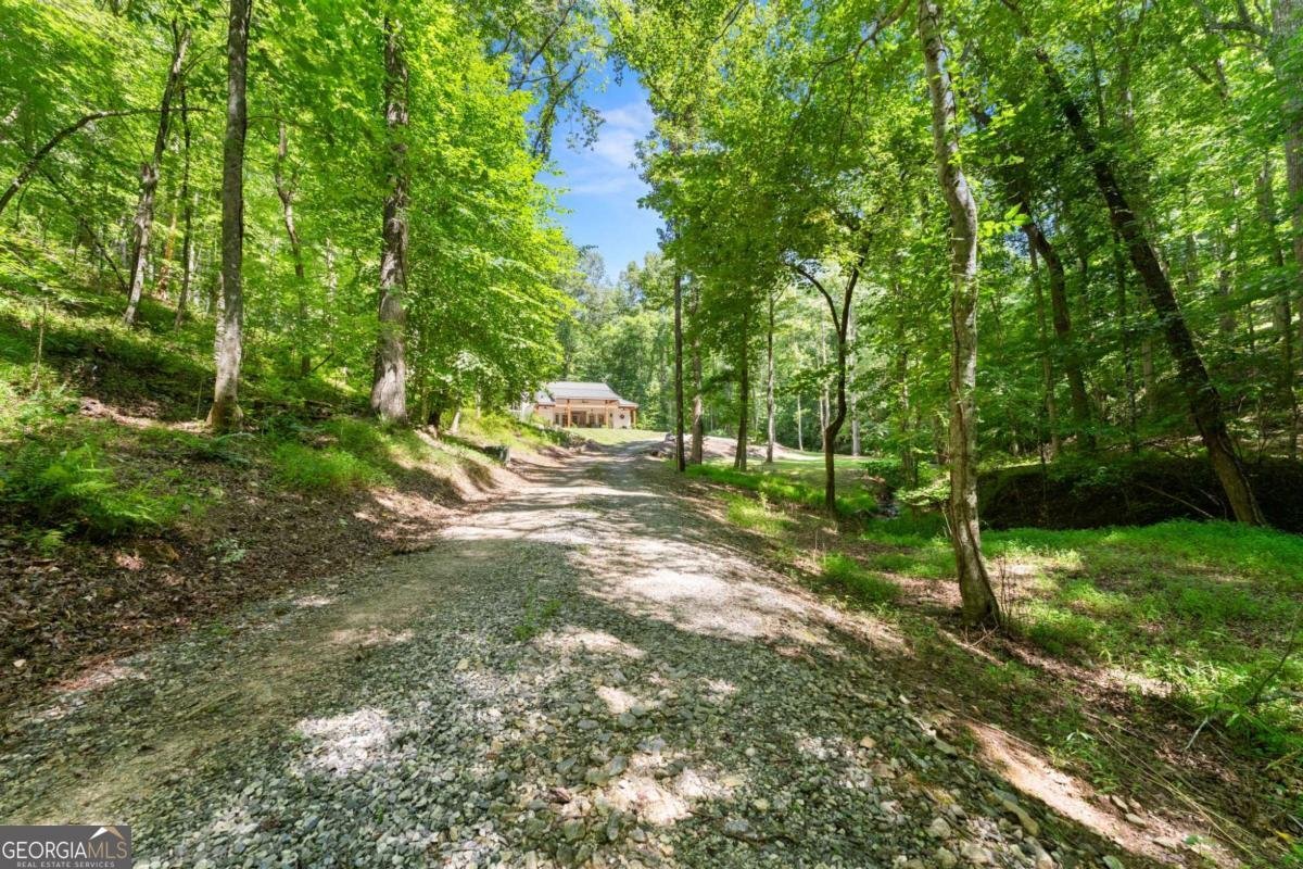 189 Peace Valley Road Dahlonega - Photo 35