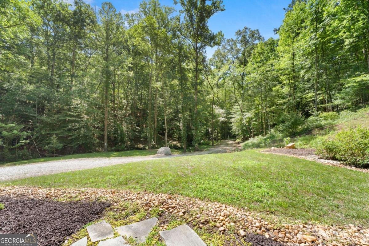 189 Peace Valley Road Dahlonega - Photo 36