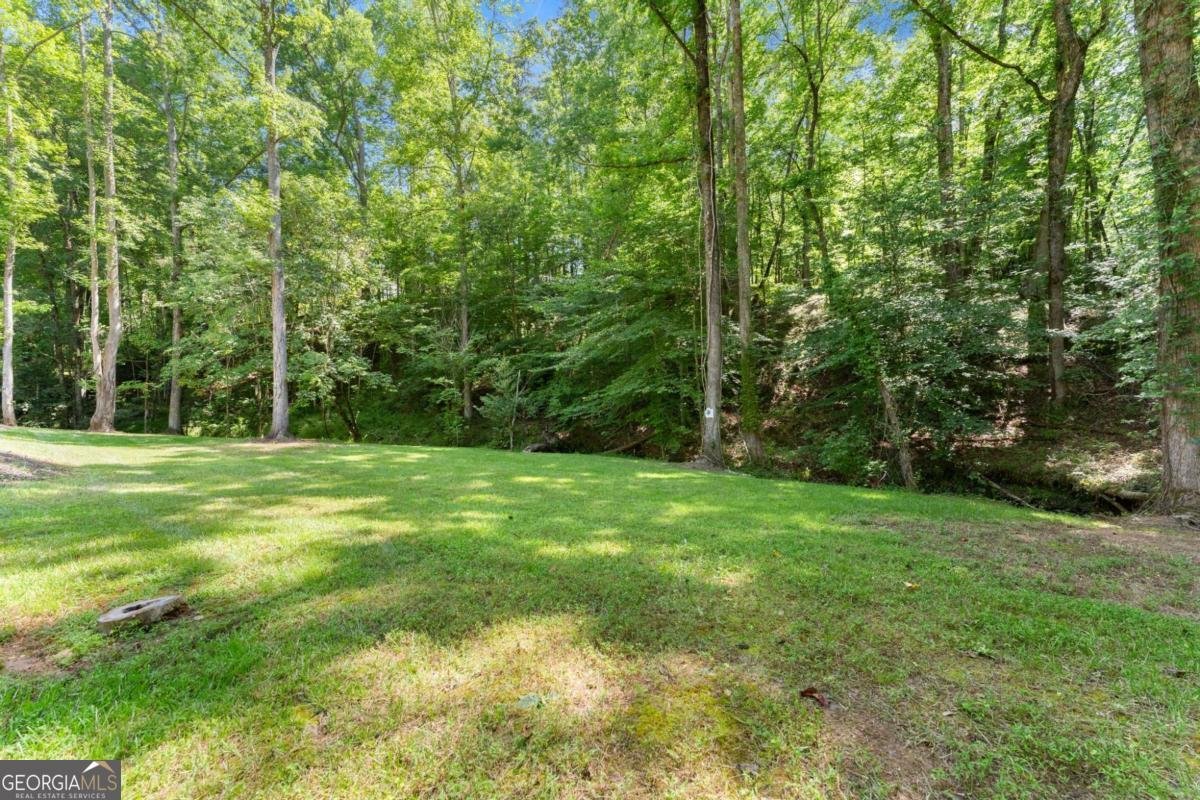 189 Peace Valley Road Dahlonega - Photo 37