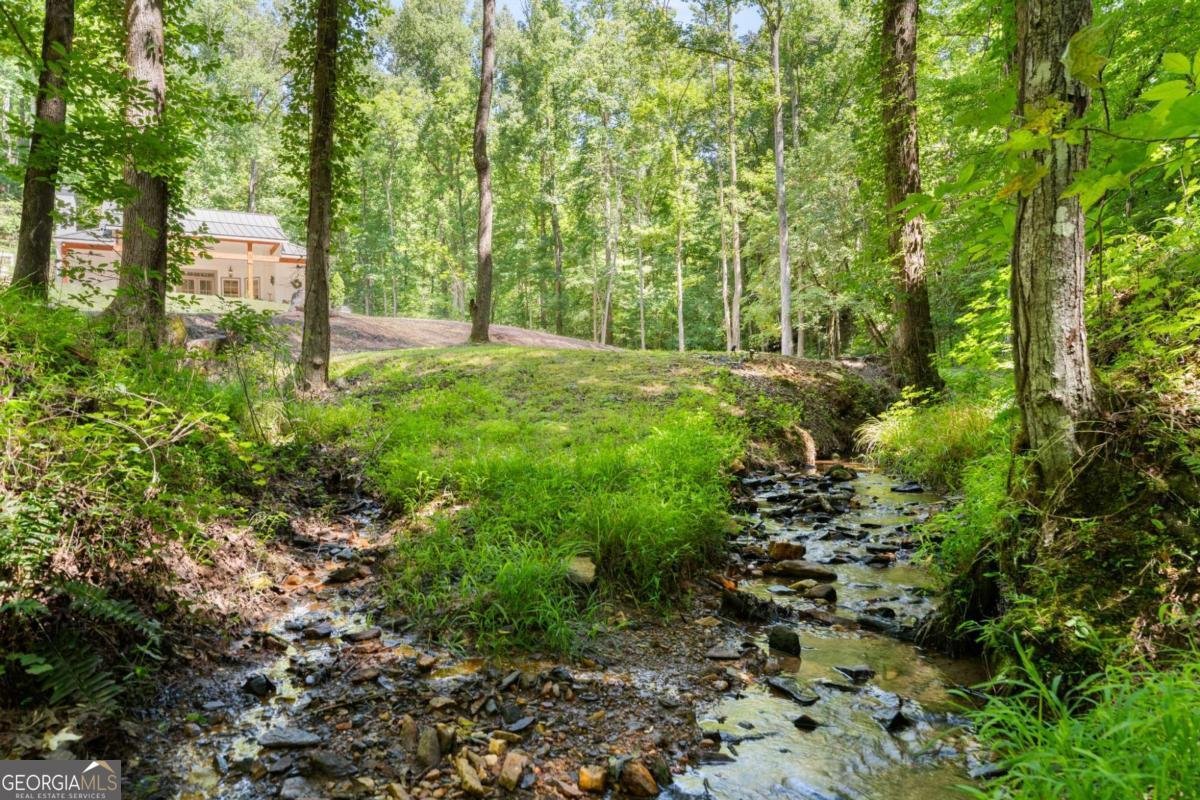 189 Peace Valley Road Dahlonega - Photo 38