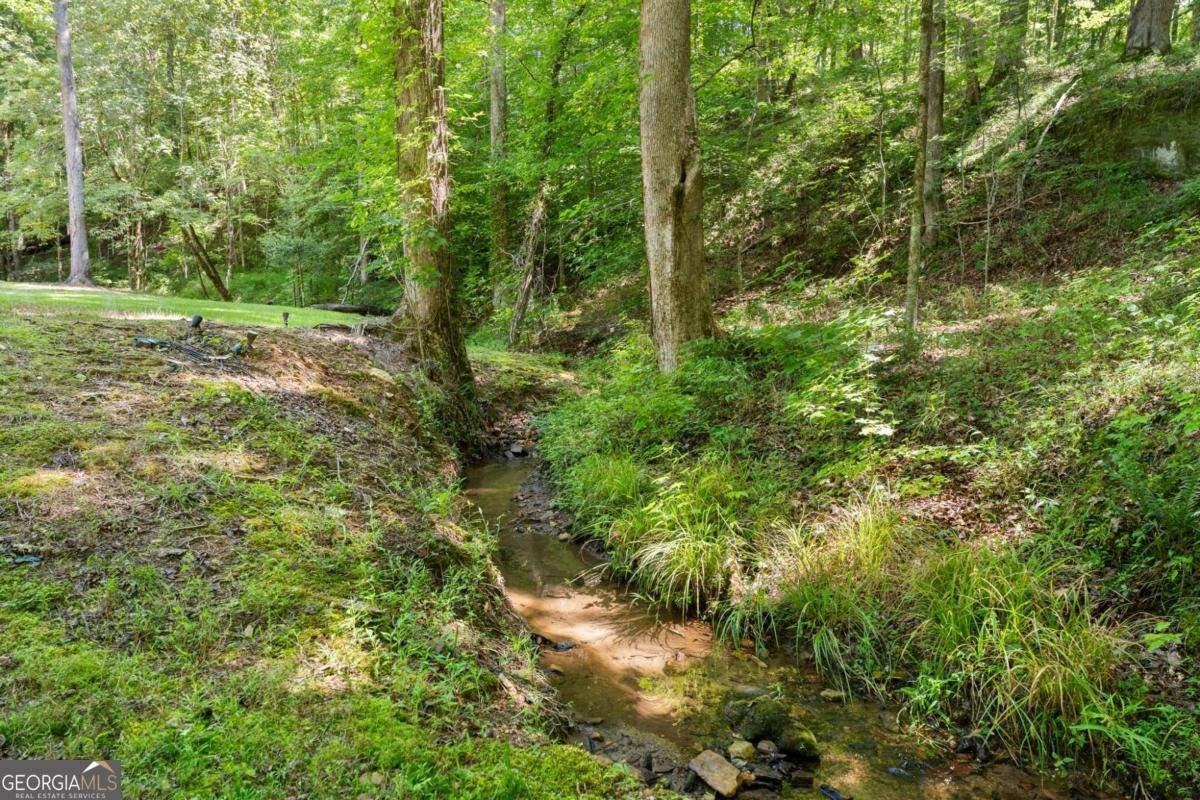 189 Peace Valley Road Dahlonega - Photo 39