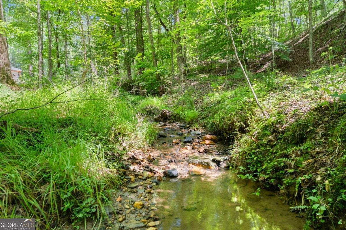 189 Peace Valley Road Dahlonega - Photo 40