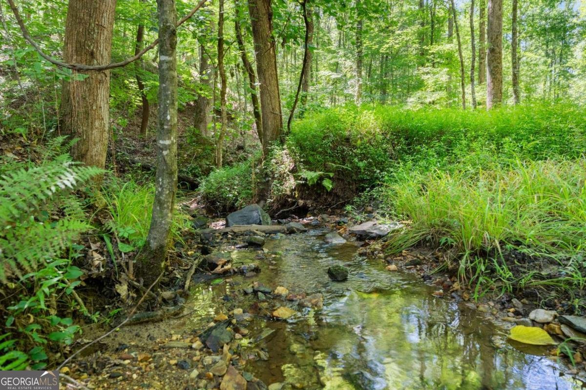 189 Peace Valley Road Dahlonega - Photo 41