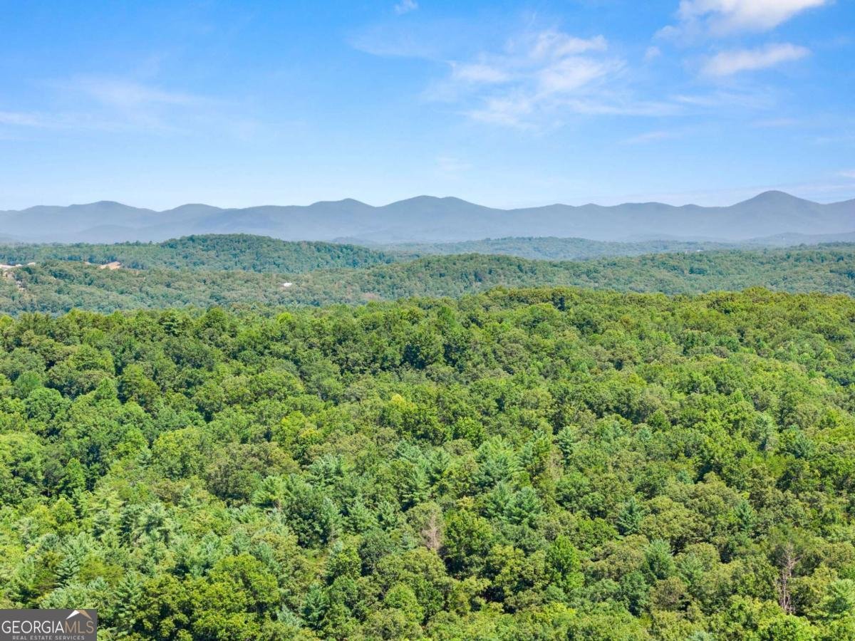 189 Peace Valley Road Dahlonega - Photo 42