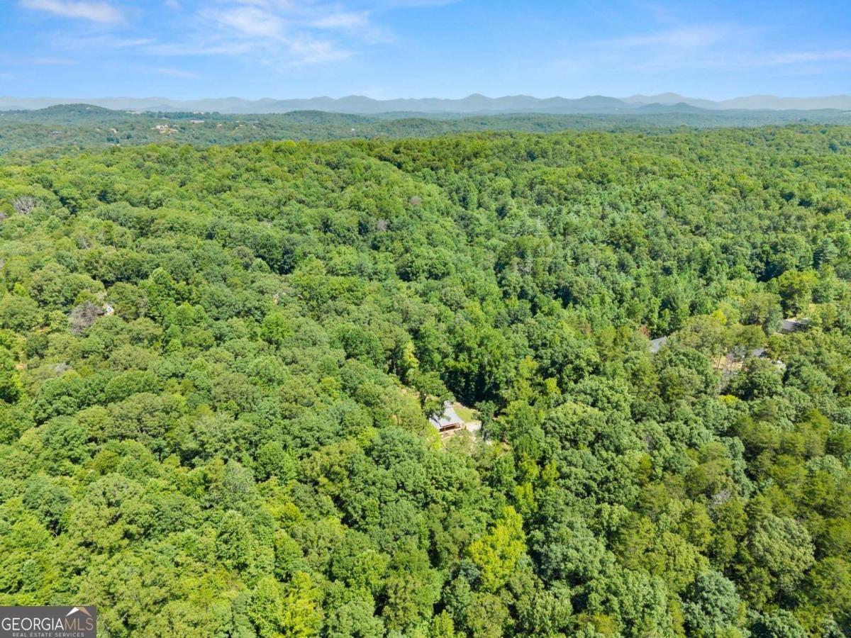 189 Peace Valley Road Dahlonega - Photo 43