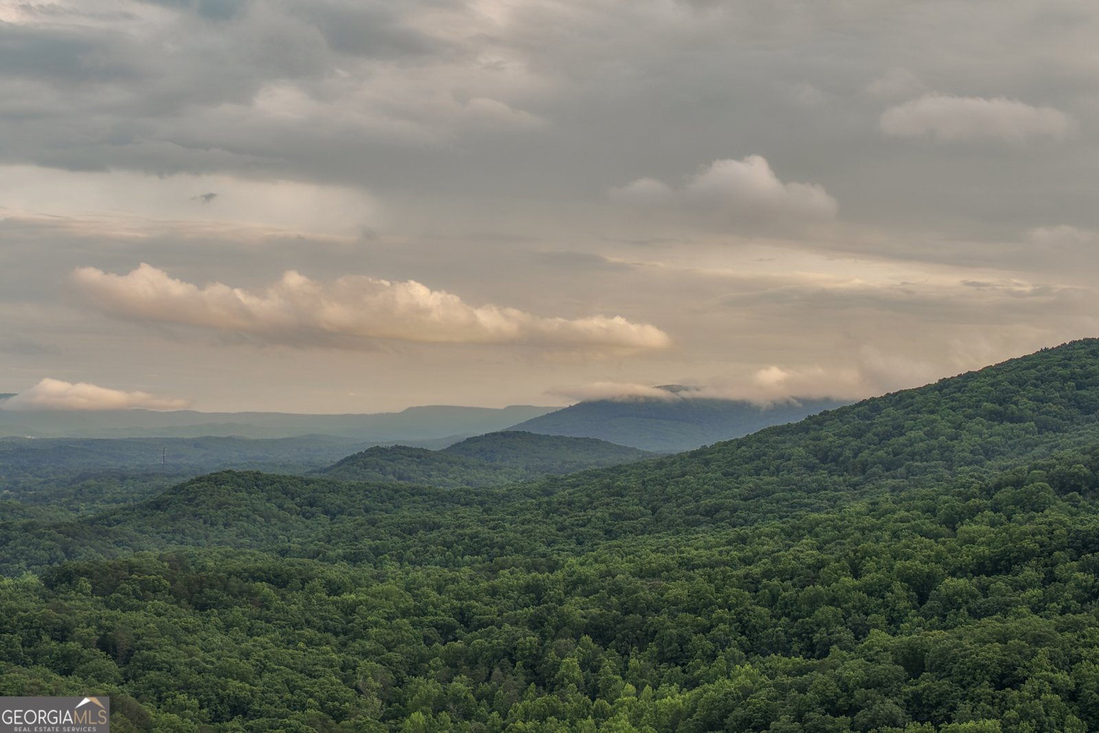32 Lantern Cove Road Chickamauga - Photo 89