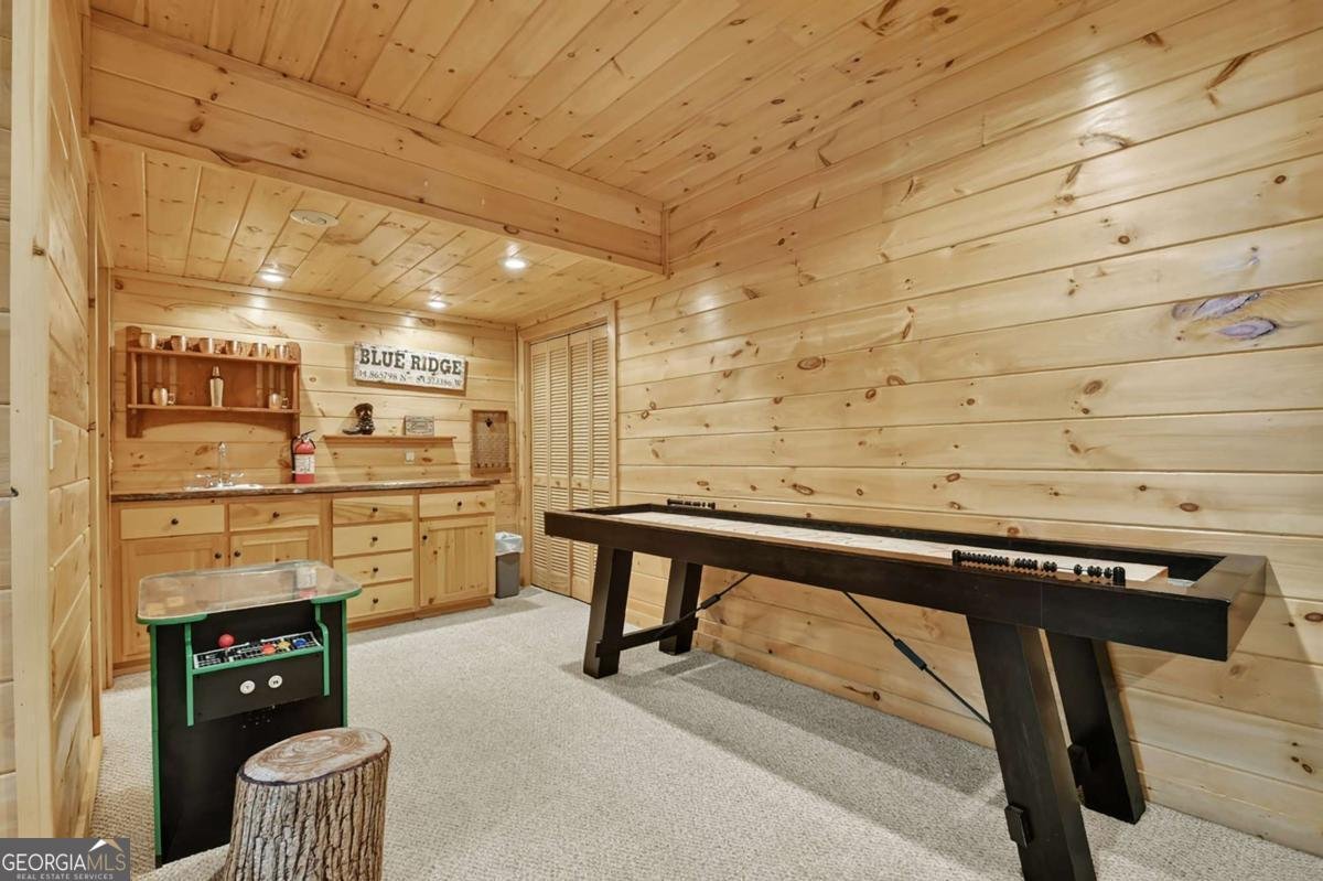 316 Pigeon Creek Road Blue Ridge - Photo 43