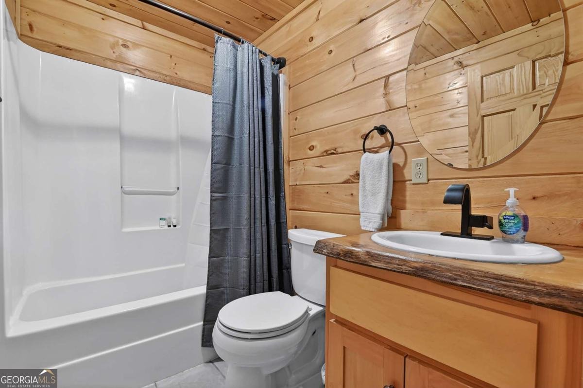 316 Pigeon Creek Road Blue Ridge - Photo 47