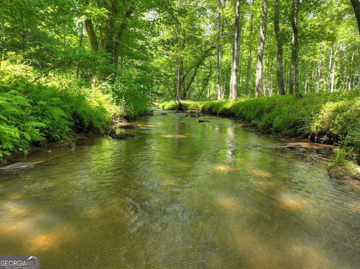 316 Pigeon Creek Road Blue Ridge - Photo 49