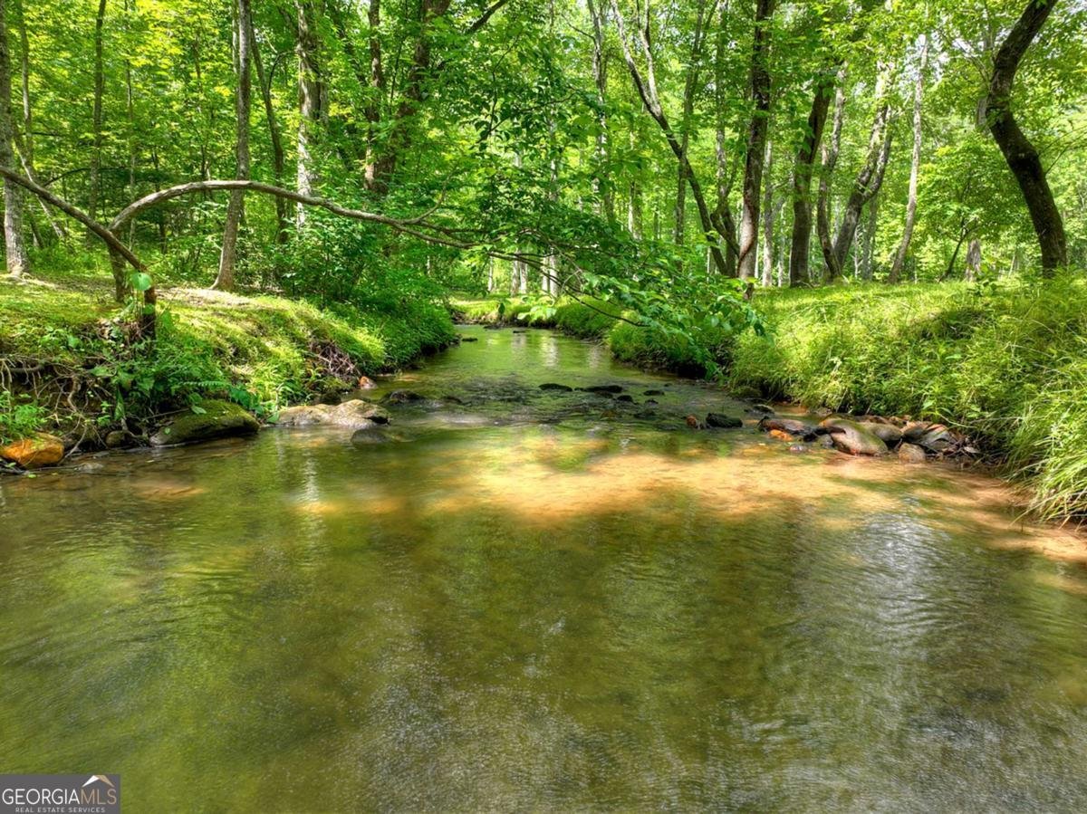 316 Pigeon Creek Road Blue Ridge - Photo 50