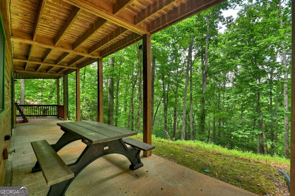 316 Pigeon Creek Road Blue Ridge - Photo 60