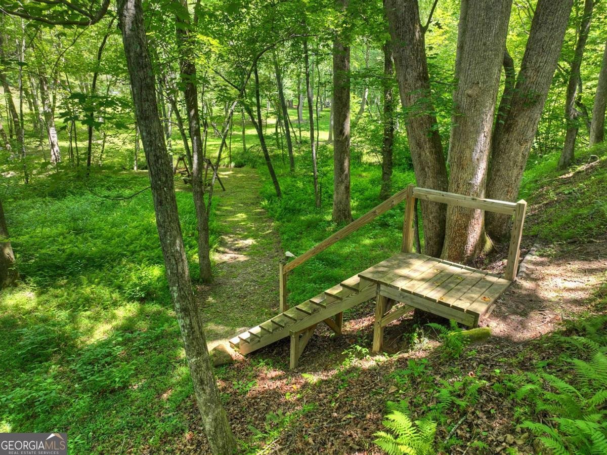 316 Pigeon Creek Road Blue Ridge - Photo 61