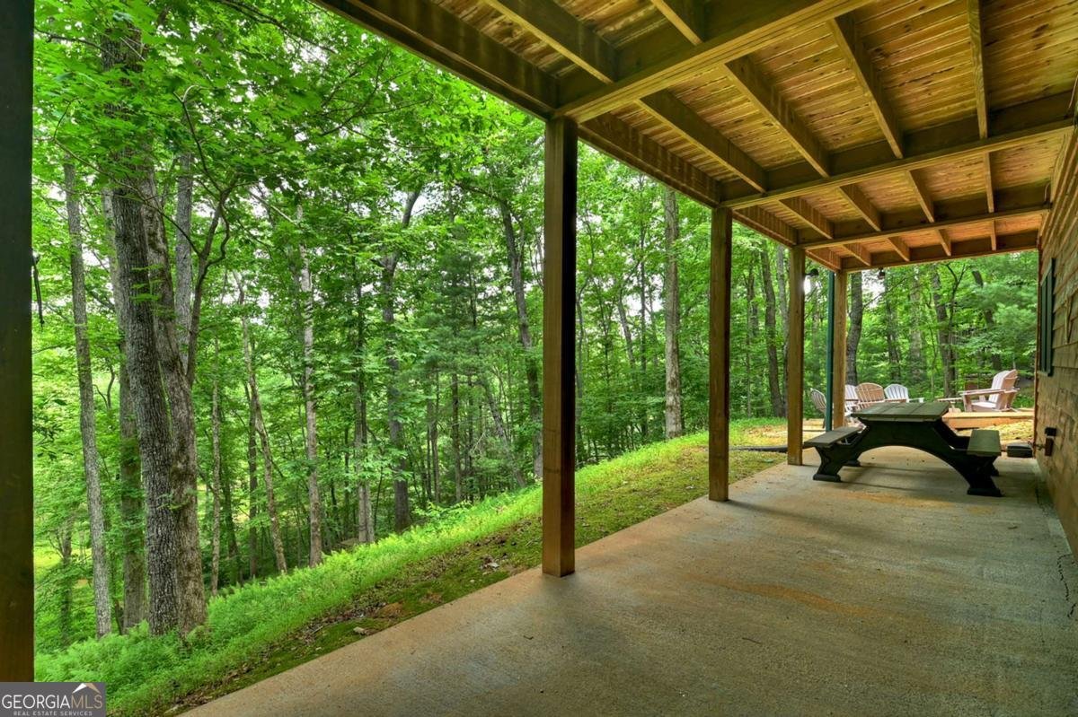 316 Pigeon Creek Road Blue Ridge - Photo 63