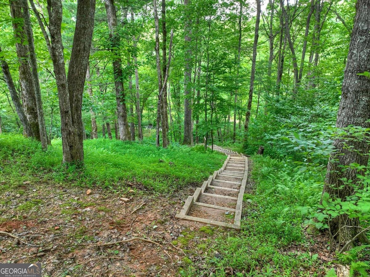 316 Pigeon Creek Road Blue Ridge - Photo 65