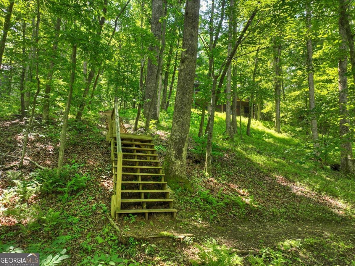 316 Pigeon Creek Road Blue Ridge - Photo 66