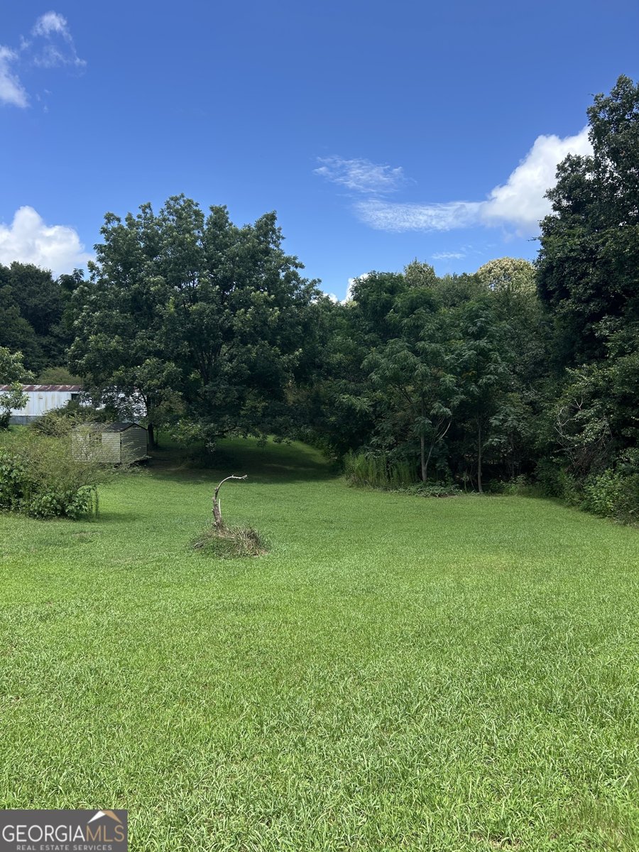 176 Bud Freeman Road Royston - Photo 10